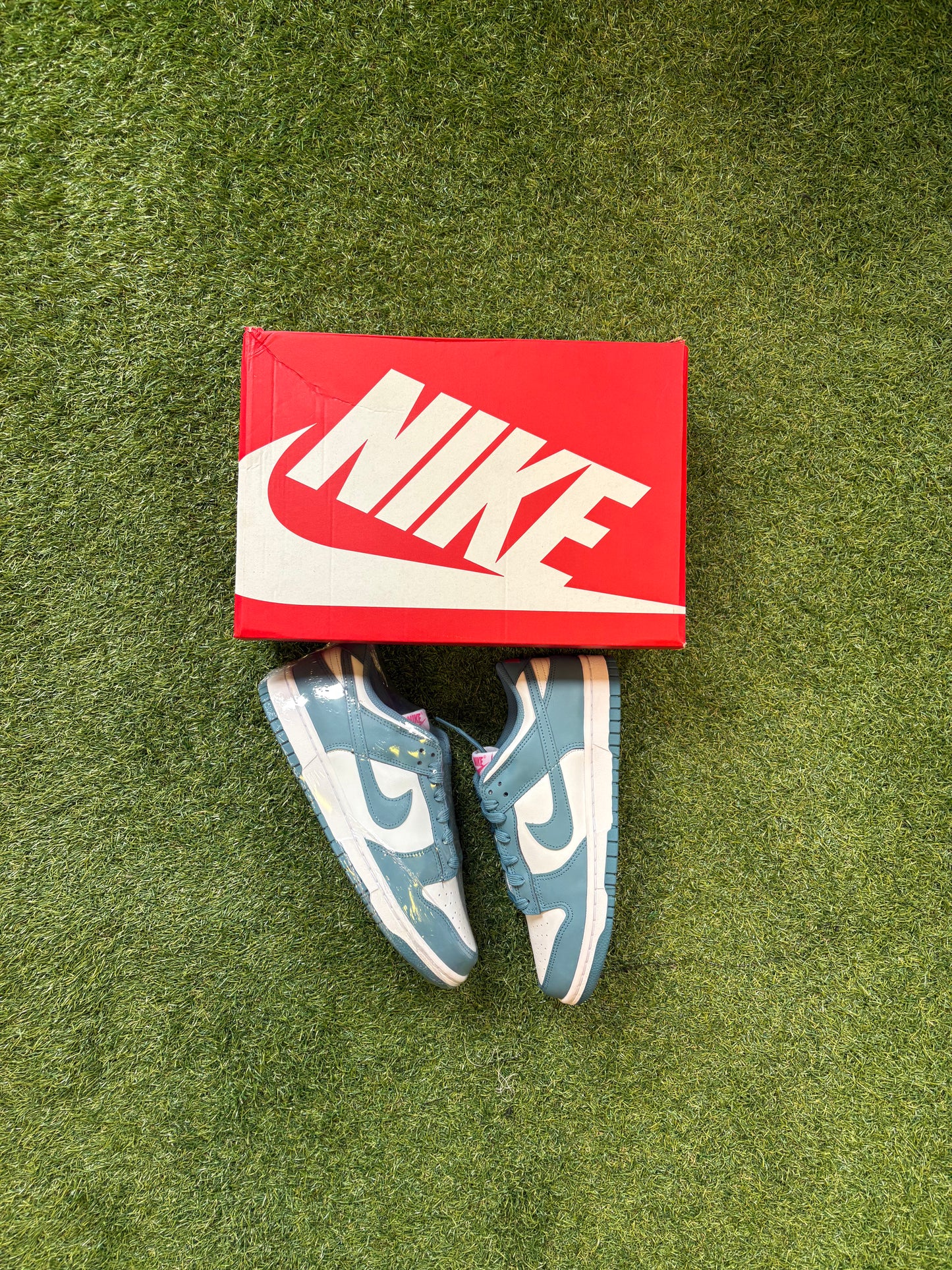 Nike Dunk “South Beach”