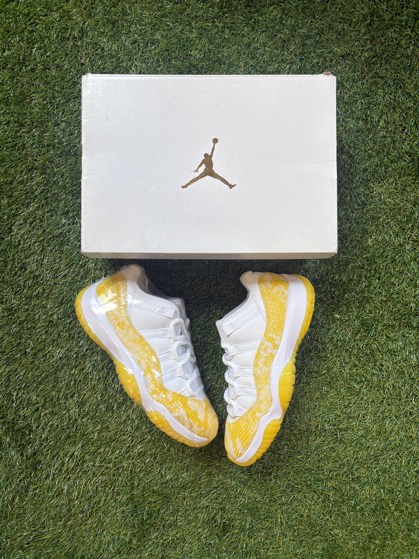 Air Jordan 11 Retro Low “Yellow Snakeskin”